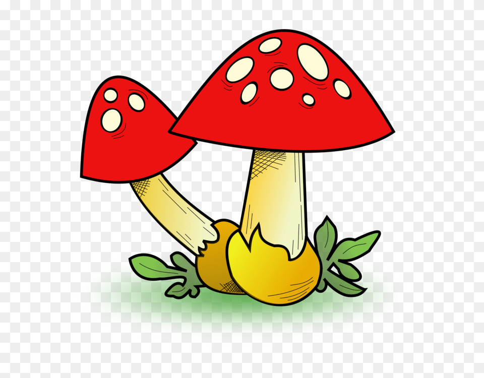 Edible Mushroom Fungus Computer Icons Morchella Elata, Plant, Agaric, Animal, Dinosaur Free Png Download