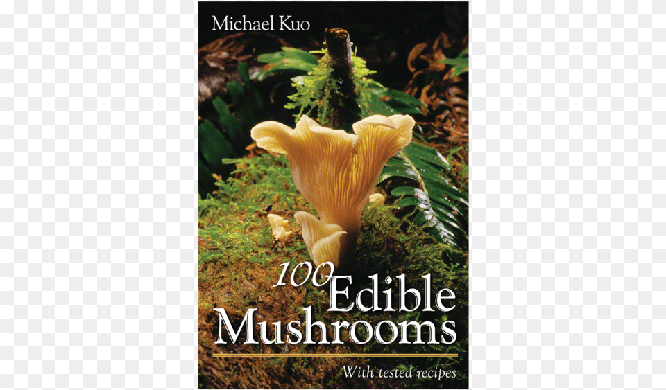 Edible Mushroomsdata Rimg Lazydata Rimg 100 Edible Mushrooms, Fungus, Plant, Publication, Vegetation Png Image