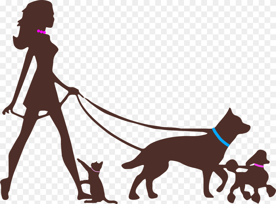 Edinburgh Dog Walking Pet Sitting Woman Walking Dogs Silhouette, First Aid, Aircraft, Transportation, Vehicle Png Image