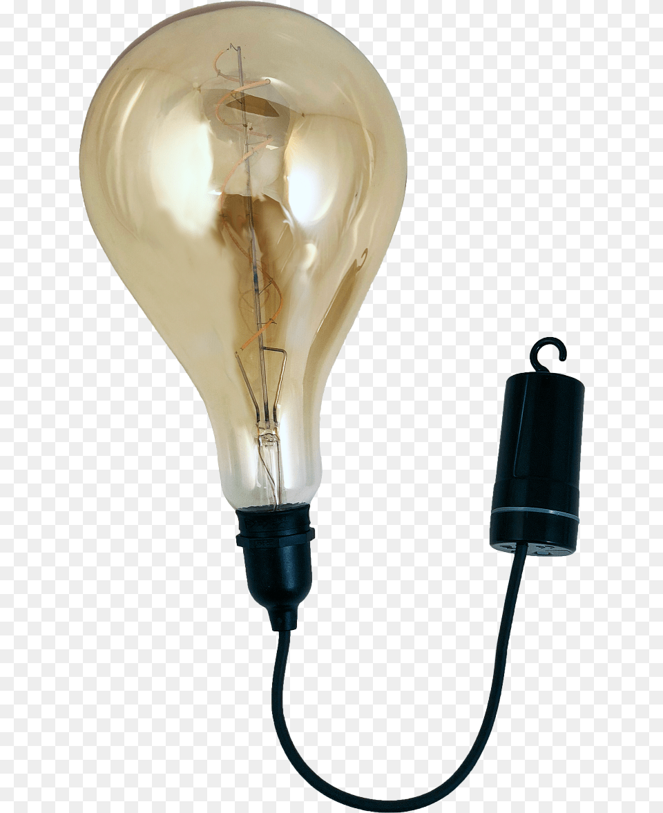 Edison Bulb, Light, Lightbulb Free Png