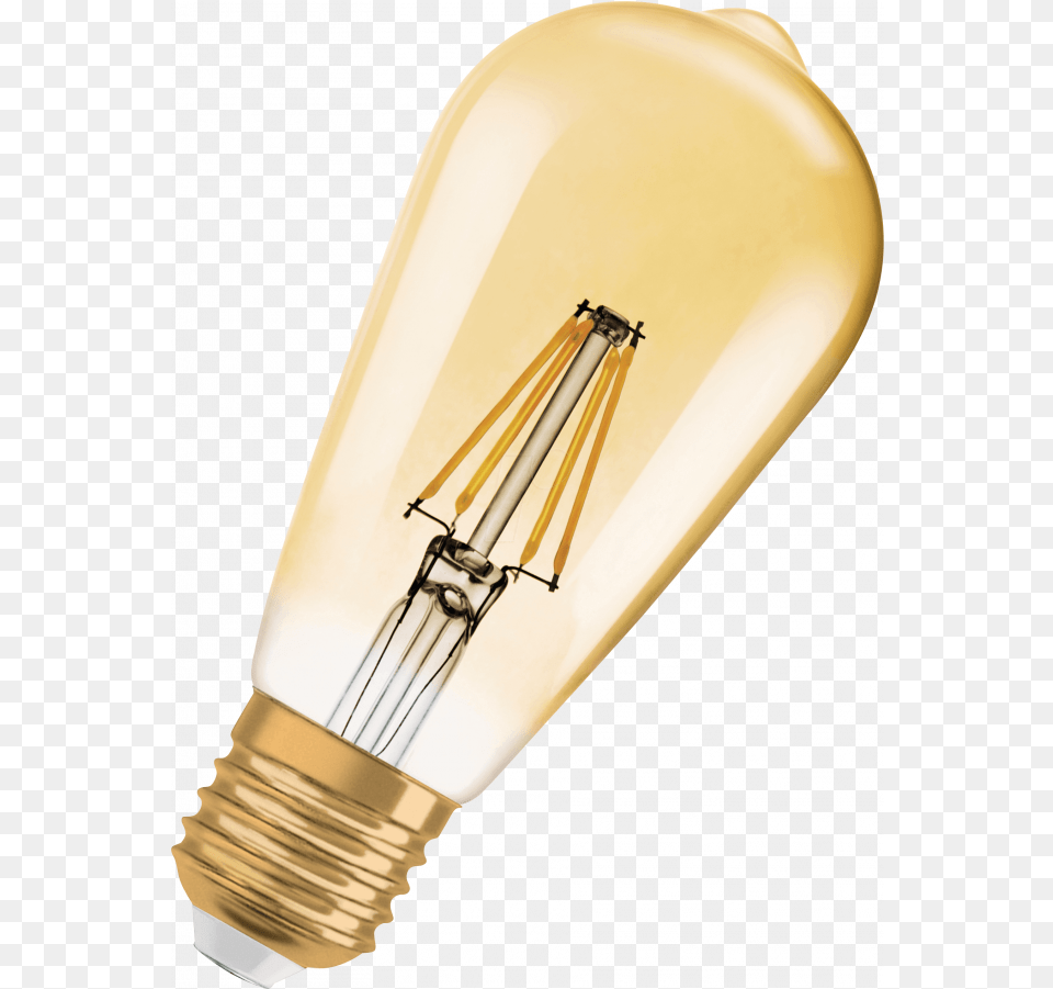 Edison Bulb, Light, Lightbulb Png