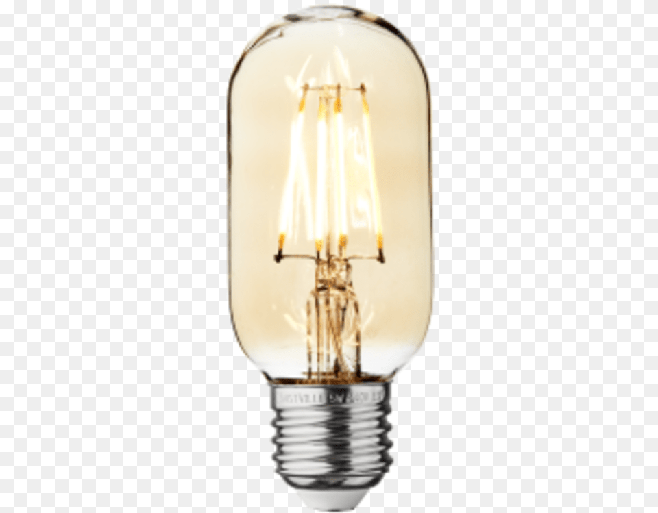 Edison Bulb, Light, Lightbulb, Festival, Hanukkah Menorah Png