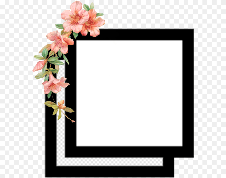 Edit Editing Editingneeds Flower Square Overlay Frame For Editing Video, Plant, Petal Png