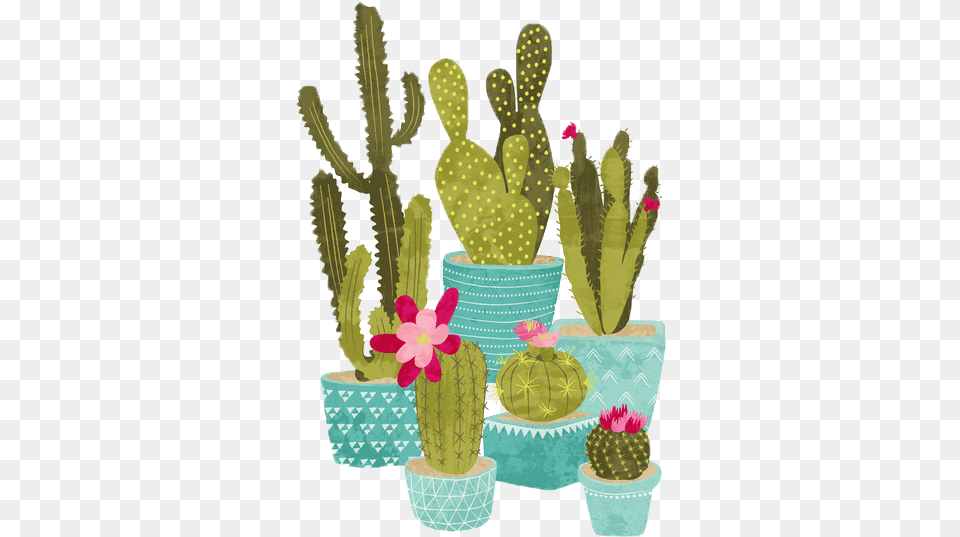 Edit Freetoedit Tumblr Overlay Cactus Cactus Vector Plant Free Png
