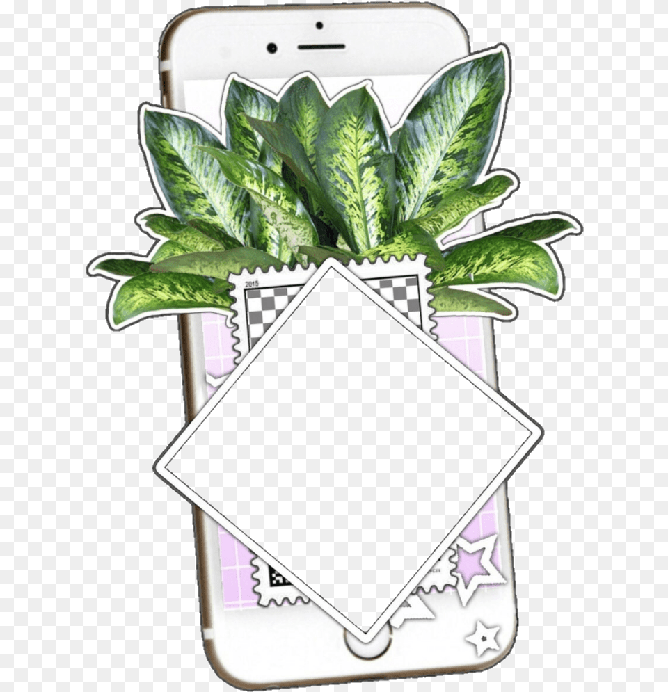Edit Overlay Aesthetic Tumblr Random Sticker Lcvingchi Format Flowers Plants, Mobile Phone, Electronics, Potted Plant, Leaf Free Png