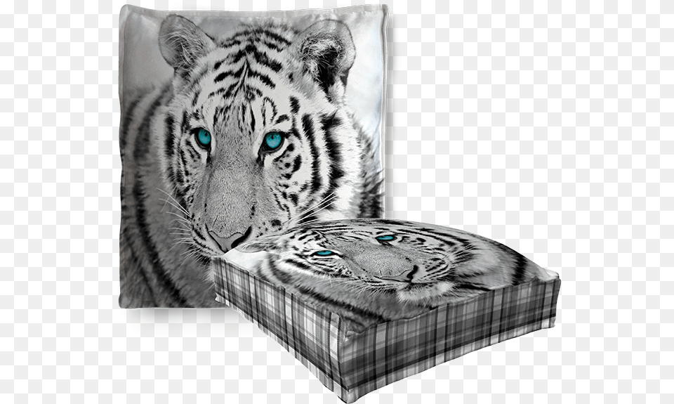 Edit The Design Siberian Tiger, Animal, Mammal, Wildlife, Cat Free Transparent Png