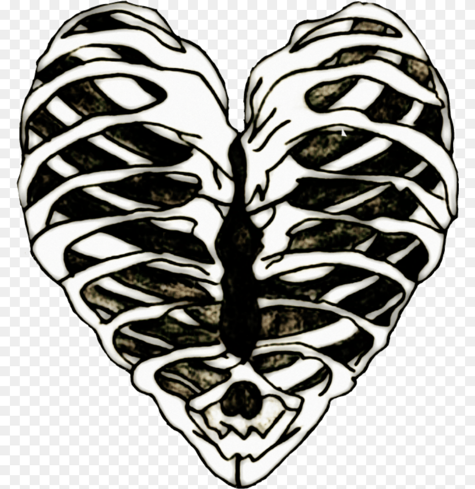 Edits Ribs Ribcage Heart Bones Art Stickers Ribcage Drawing Transparent Background, Ct Scan, Stencil, Person, Face Free Png