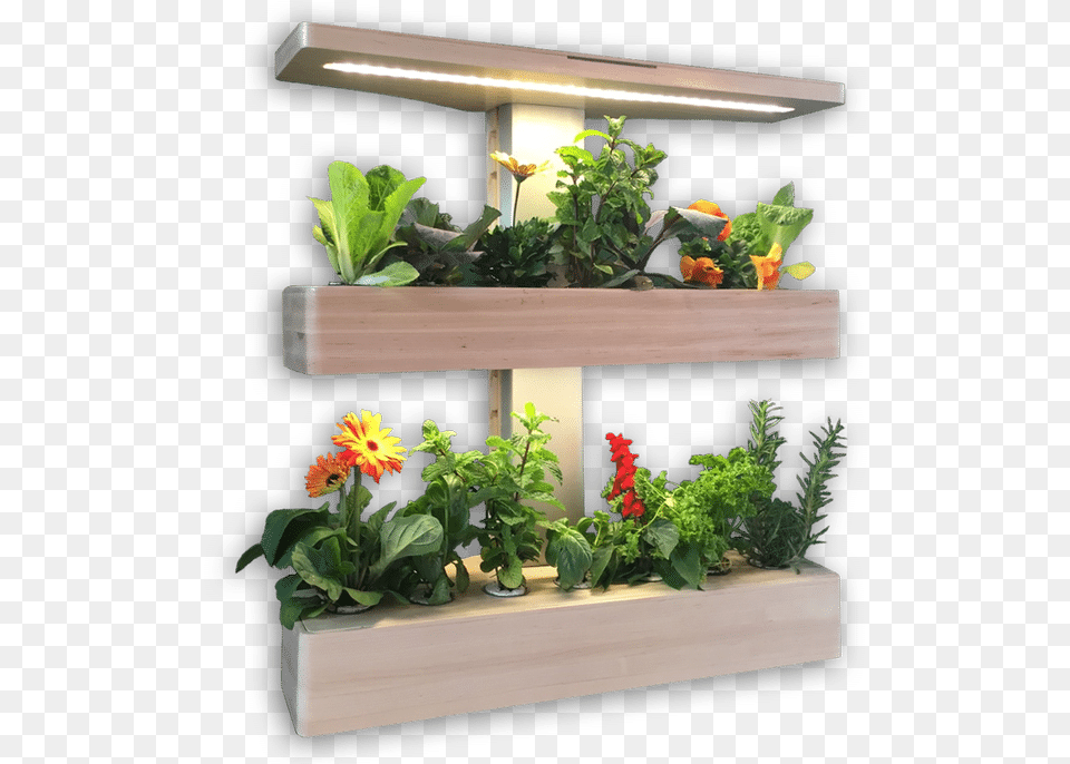 Edn Wallgarden Indoor Wall Garden With Grow Lights, Plant, Vase, Pottery, Flower Free Png Download