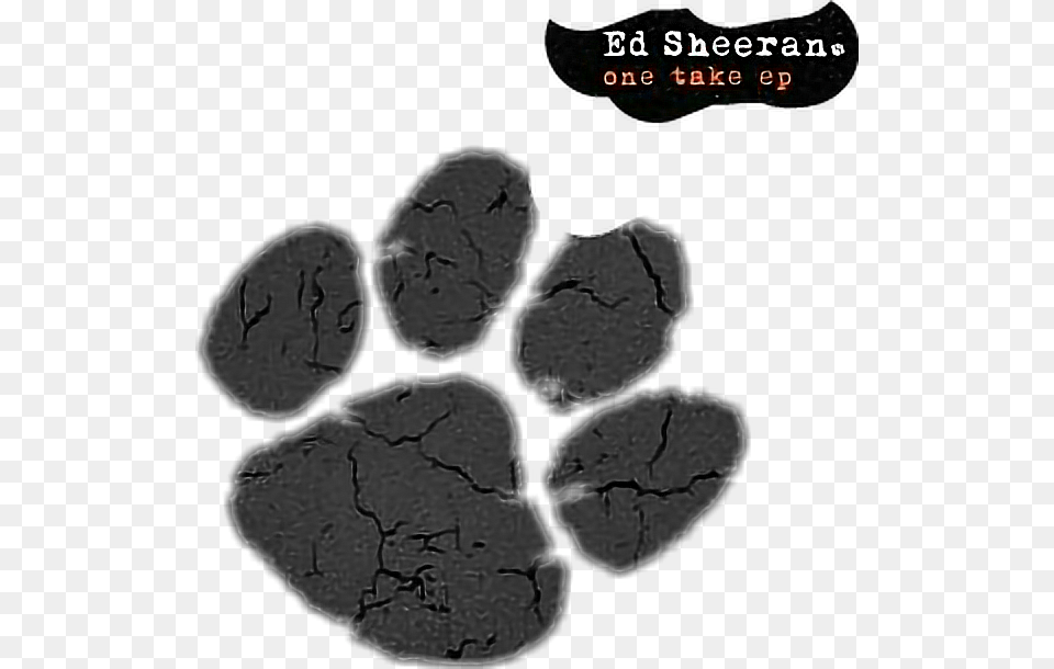 Edsheeran Onetakeep Albumedsheeran Ed Sheeran Ed Sheeran Cat Paw, Rock, Person, Anthracite, Coal Free Png