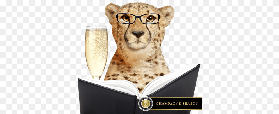 Educate Then Celebrate Types Of Champagne For The Holiday Champagne, Animal, Cheetah, Mammal, Wildlife Free Png Download