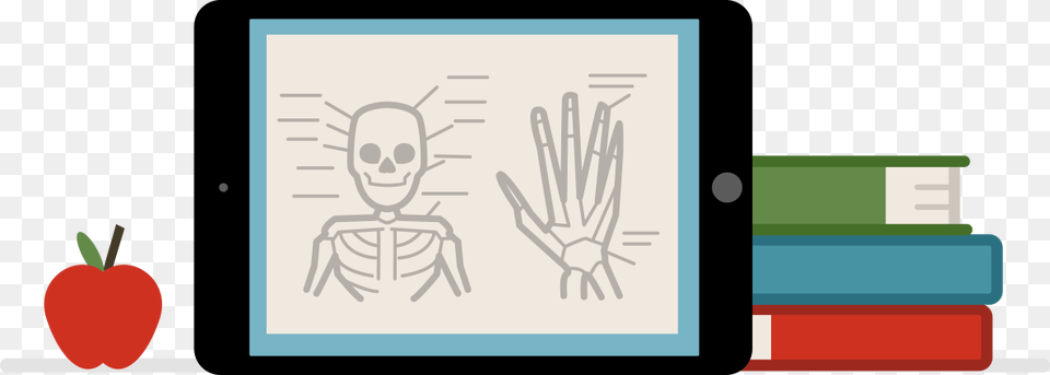 Education Airserver, Person, Face, Head Png