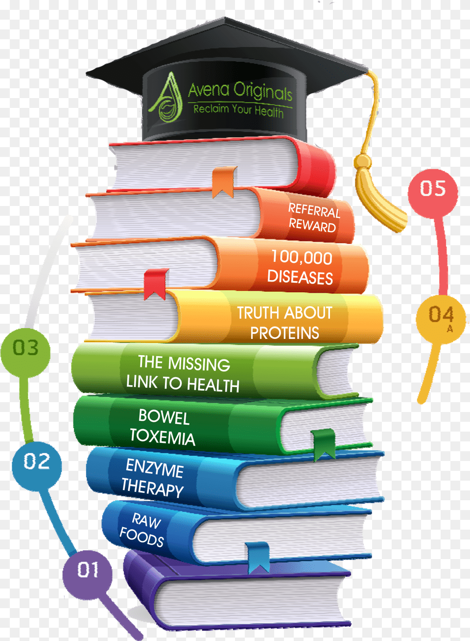 Education Infographics Template, People, Person, Dynamite, Weapon Free Transparent Png