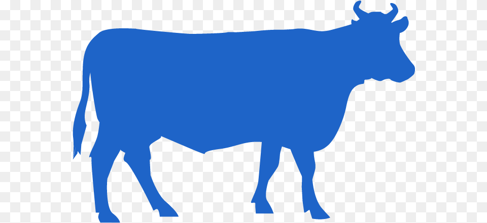 Education U2014 Department Of Reproduction Obstetrics And Herd Blue Icons Animal Health, Bull, Mammal, Cattle, Livestock Free Transparent Png