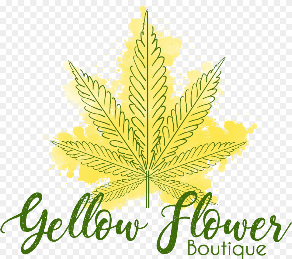 Educational Brochures Yellow Flower Boutique Illustration, Leaf, Plant, Tree, Maple Free Png