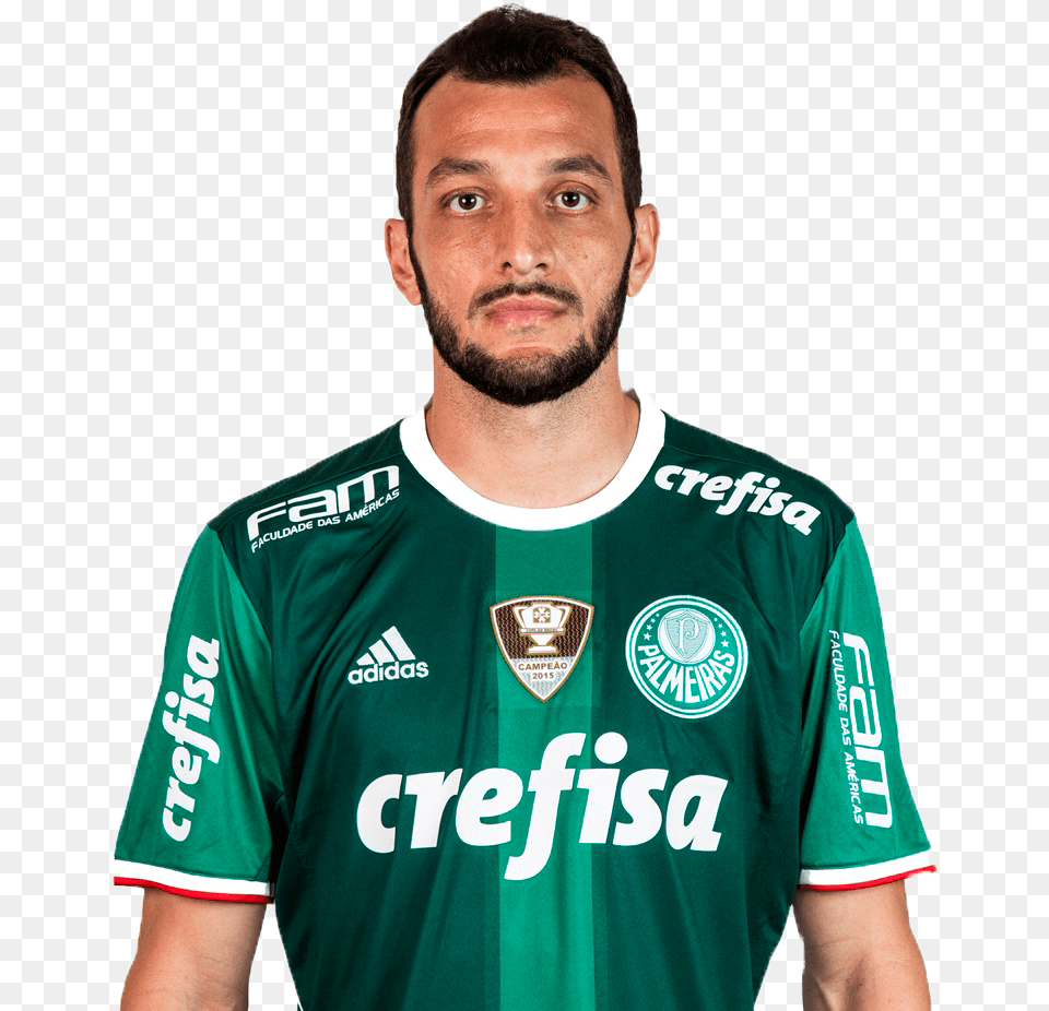 Edudracena Se Palmeiras Limited Edition Home 2017 2018 Men Jersey, Adult, Clothing, Male, Man Free Transparent Png