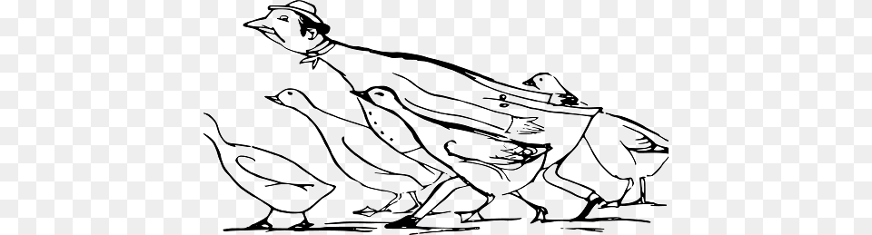 Edward Lear Drawing Man Walking Like A Goose, Animal Free Png Download