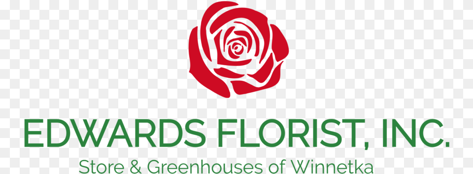 Edwards Florist Inc Garden Roses, Flower, Plant, Rose Png