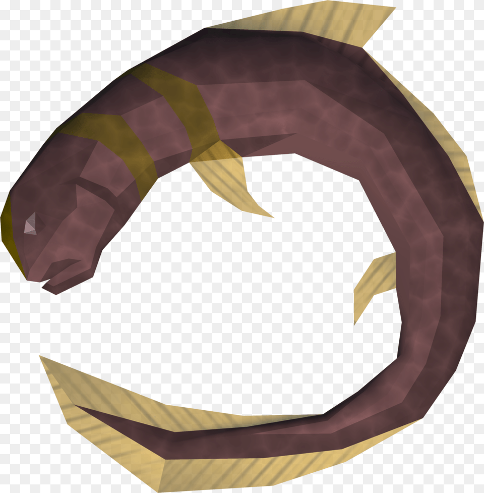 Eel Runescape, Animal, Fish, Sea Life, Adult Free Png Download