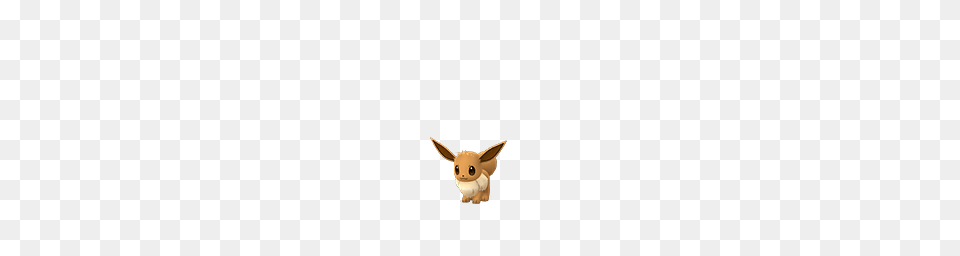 Eevee, Animal, Mammal, Rabbit, Cardboard Png Image