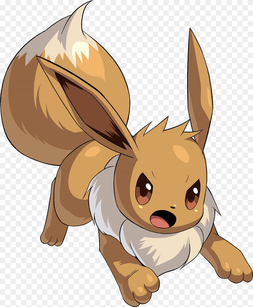 Eevee Eevee Pokemon Conquest, Baby, Person, Face, Head Free Png