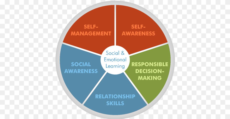 Ef Dot Sel Competencies, Disk, Chart, Pie Chart Png Image