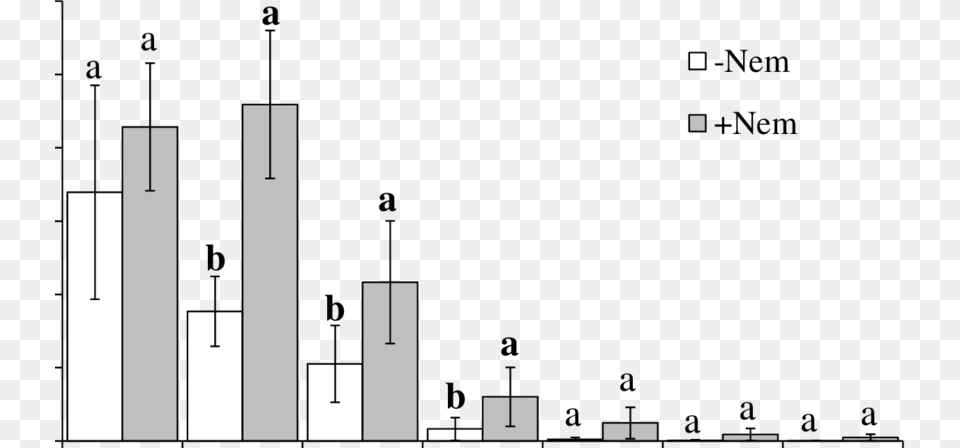 Effect Of Acrobeloides Sp Diagram Free Png