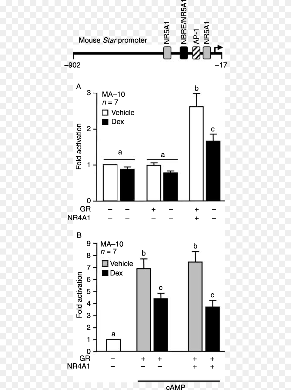 Effect Of Gr On The Dex Mediated Repression Of Star Promoter Activity, Chart, Plot Free Png