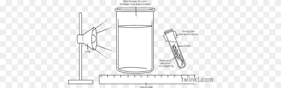 Effect Of Light Intensity Cylinder, Chart, Cup, Plot, Mailbox Free Png