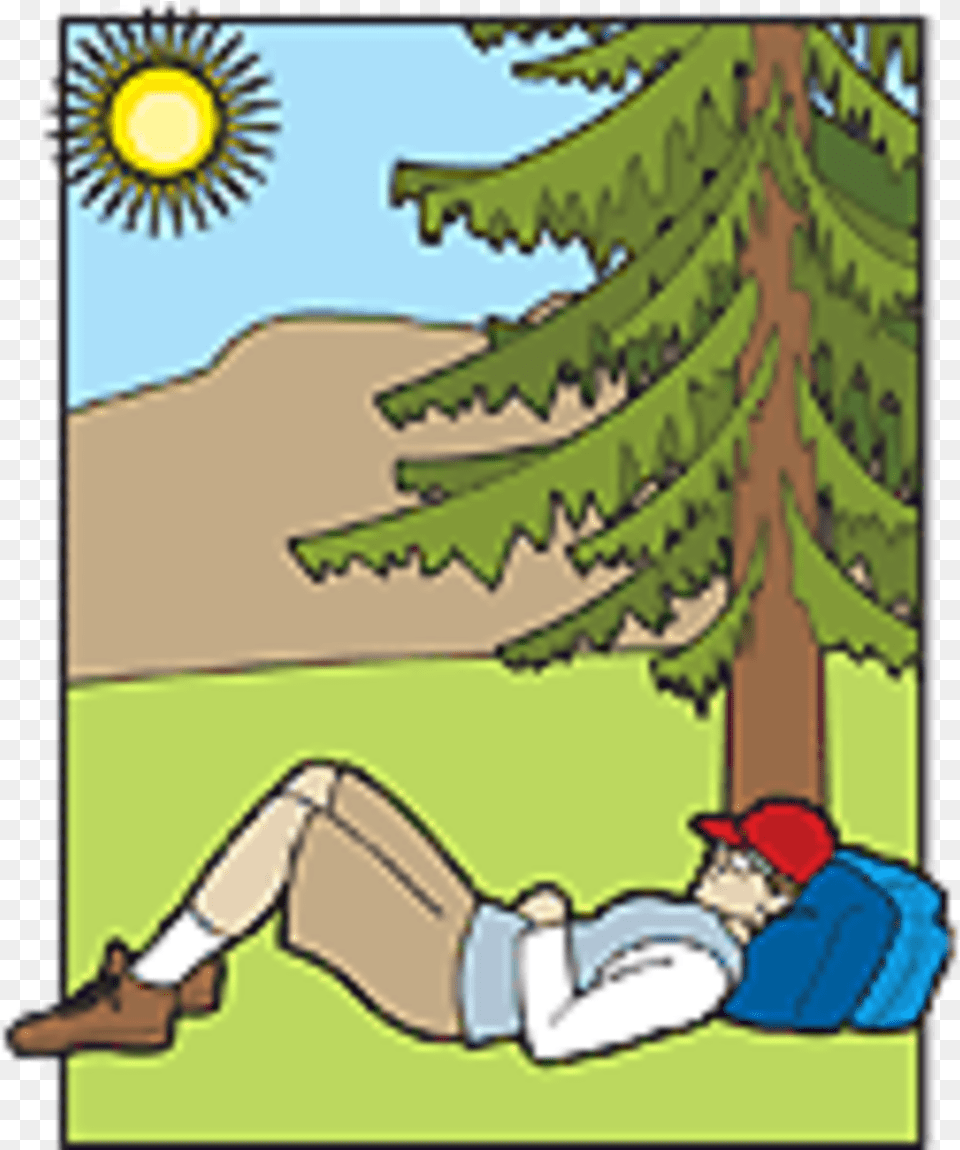 Effective Hikers Often Increase It As Their Packs Lighten Hiking, Tree, Plant, Vegetation, Book Png