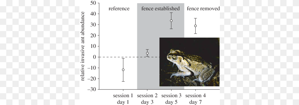 Effects Of Native Toad Exclosure On Invasive Yellow Yellow Crazy Ant, Animal, Lizard, Reptile, Wildlife Free Transparent Png