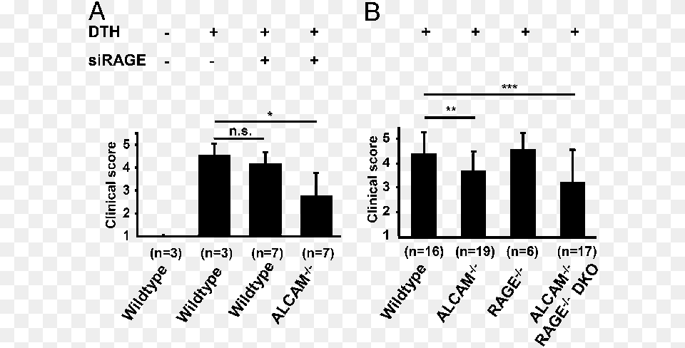 Effects Of Sirna Rage On Dth Clinical Score In Wt And Knockout, Gray Png