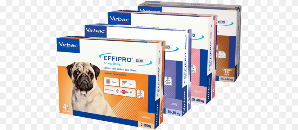 Effipro Duo Perro Effipro Duo Spot On For Small Dogs Up To 22 Lbs, Animal, Canine, Dog, Mammal Png