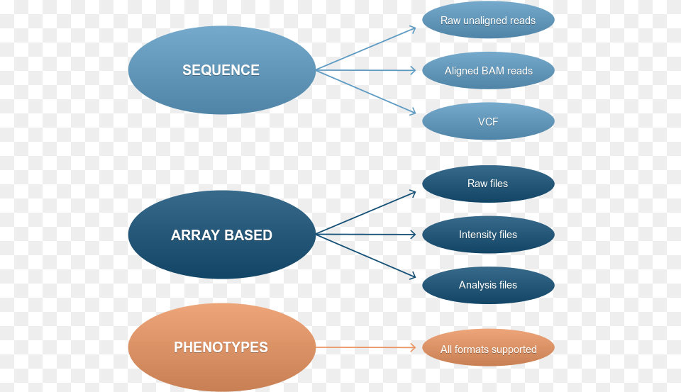 Ega Accepted Data Types Download Circle, Nature, Night, Outdoors, Diagram Free Transparent Png