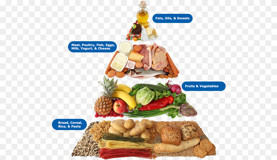 Egal S Art Print Carbohydrates Types Of Nutrients, Food, Lunch, Meal, Fruit Png Image