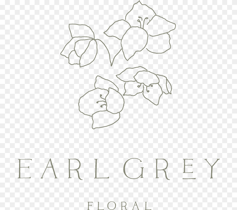 Egf Hellebore Copy Line Art, Stencil, Blackboard, Text Png