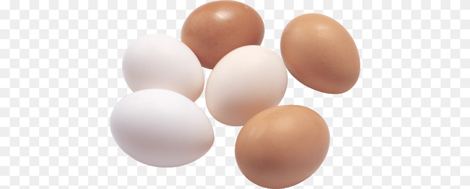 Egg, Food, Easter Egg Free Png