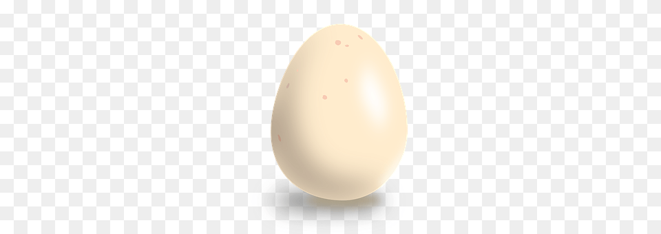 Egg Food, Disk Free Png