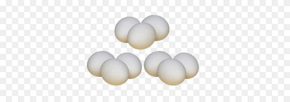 Egg Food, Sphere, Ball, Cricket Png