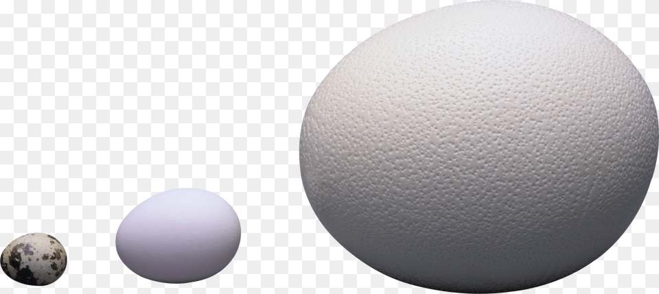 Egg, Sphere, Food Free Png Download