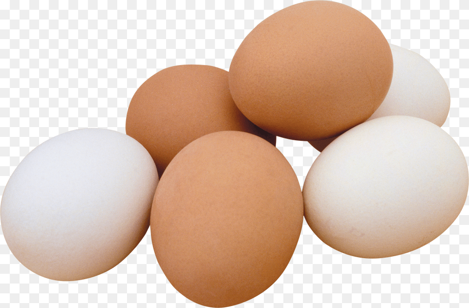 Egg Png