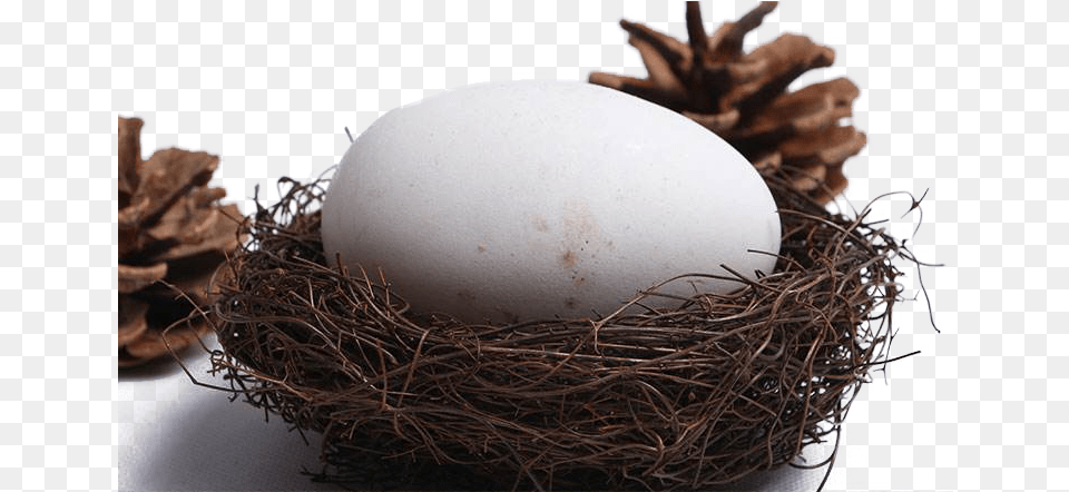 Egg, Food Free Png Download