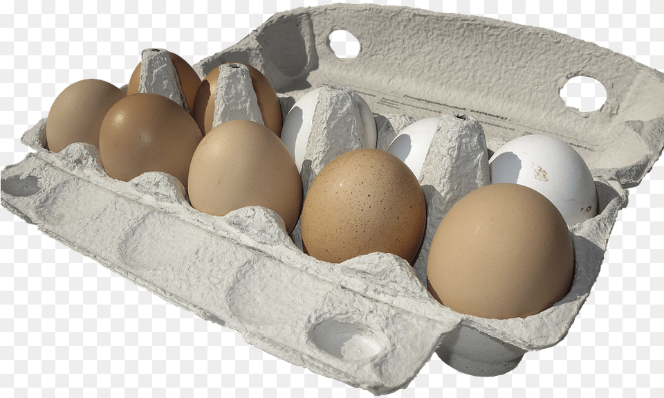 Egg Carton Lots Of Eggs Carton Of Eggs Food Free Transparent Png