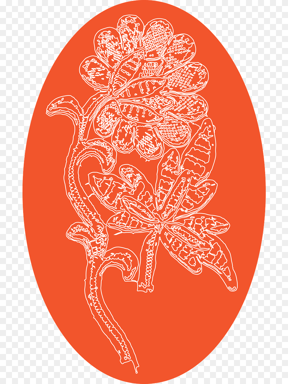 Egg Easter Lace Circle, Pattern, Outdoors, Nature Free Png