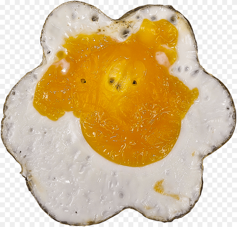 Egg Fried Yolk Photo Egg, Food, Fried Egg Png