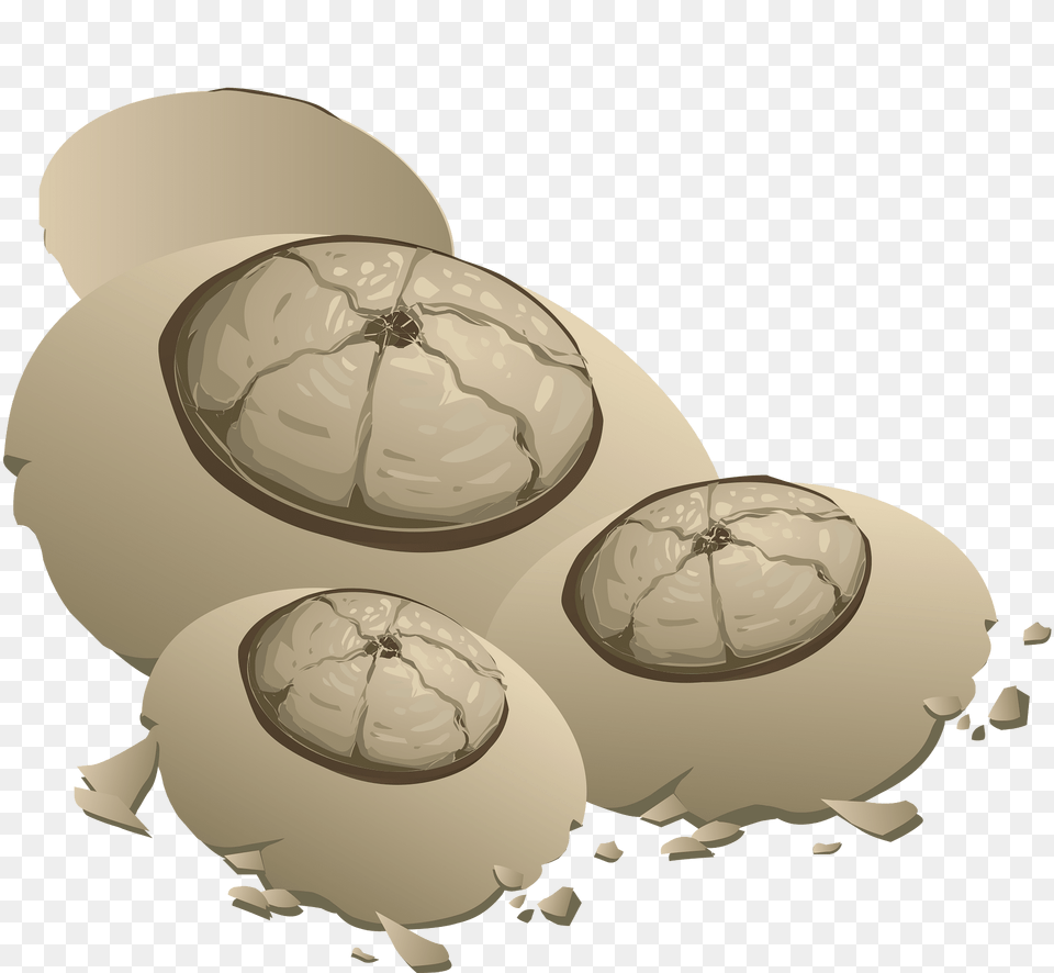 Egg Parts Clipart, Sphere Png