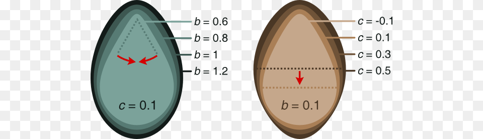 Egg Shape Examples Shape Of A Egg, Ammunition, Grenade, Weapon Free Png Download