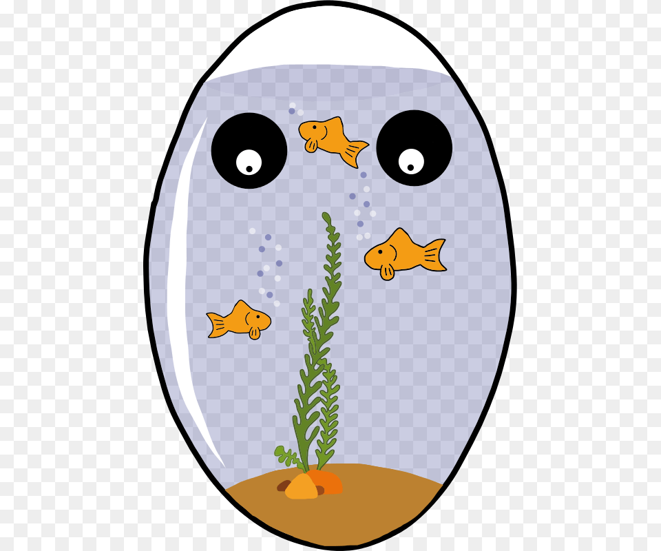 Egghead Fishtank Contactrco, Animal, Sea Life, Fish, Person Free Png