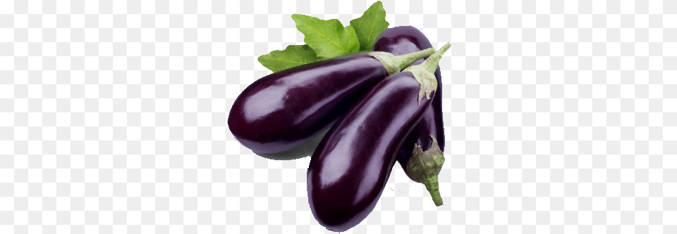 Eggplant Brinjal, Food, Produce, Plant, Vegetable Png Image