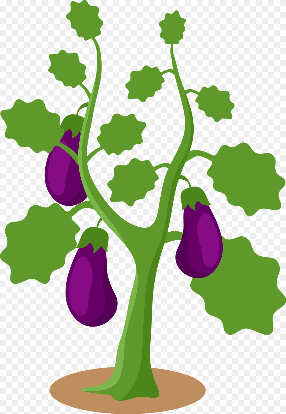 Eggplant Clipart, Purple, Food, Produce, Flower Png