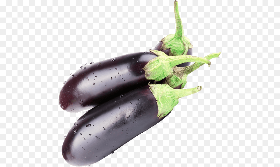 Eggplant Download Eggplant, Food, Produce, Plant, Vegetable Png